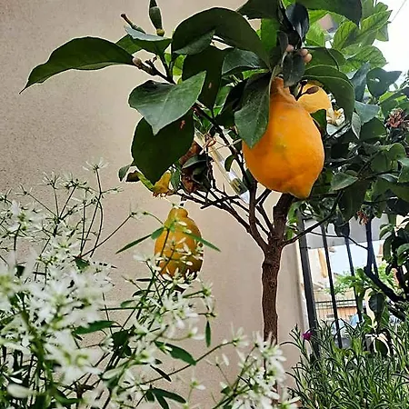 Hotel apartamentowy Il Capodoglio 3*
